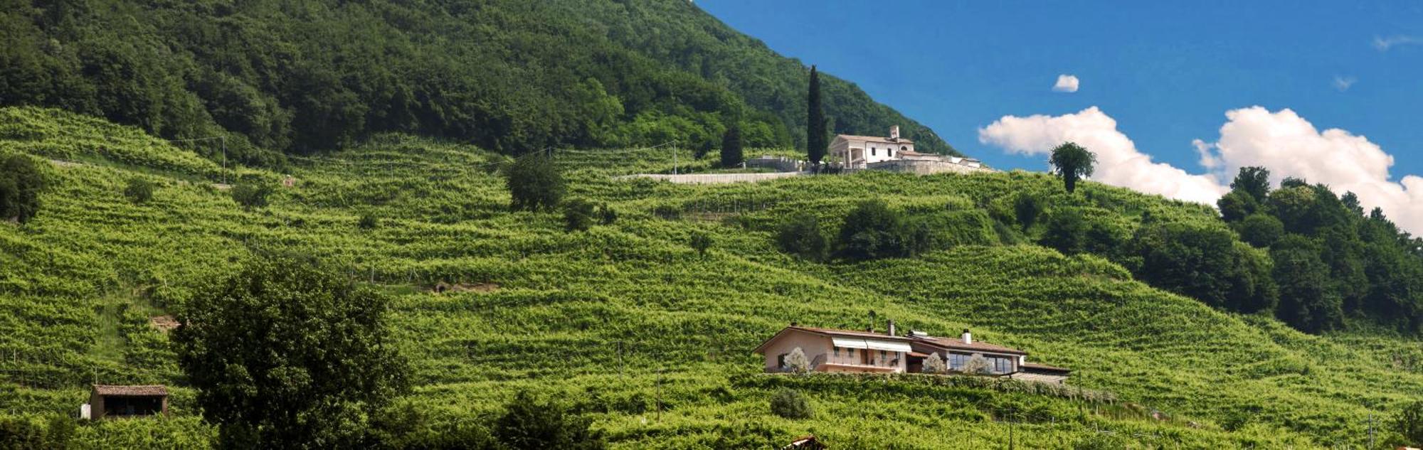 Bed and Breakfast Casa Bortolin Valdobbiadene Exterior foto
